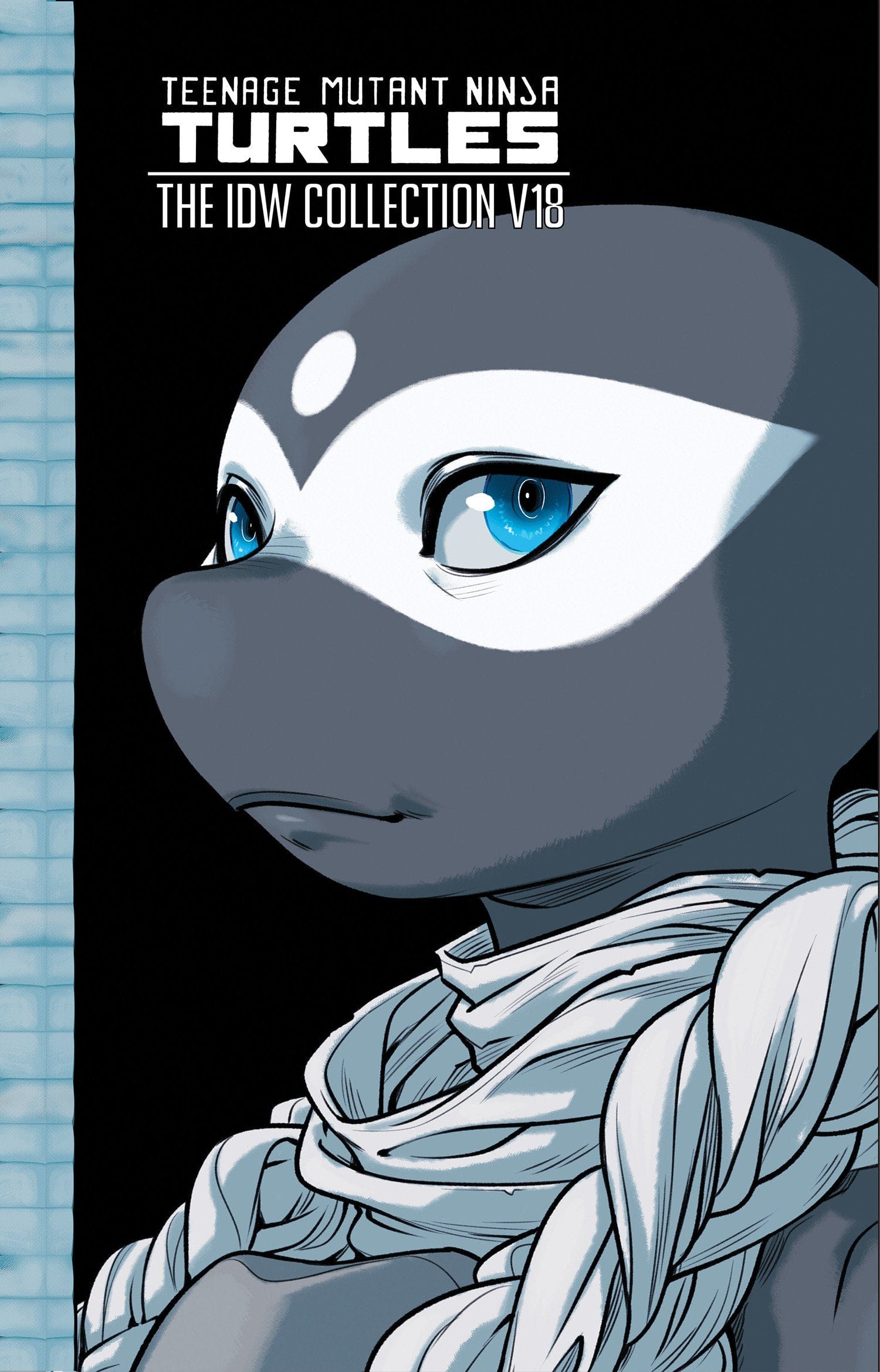 IDW Publishing Graphic Novel Teenage Mutant Ninja Turtles: The IDW Collection, Volume 18 9798887243153 PRH-9798887243153