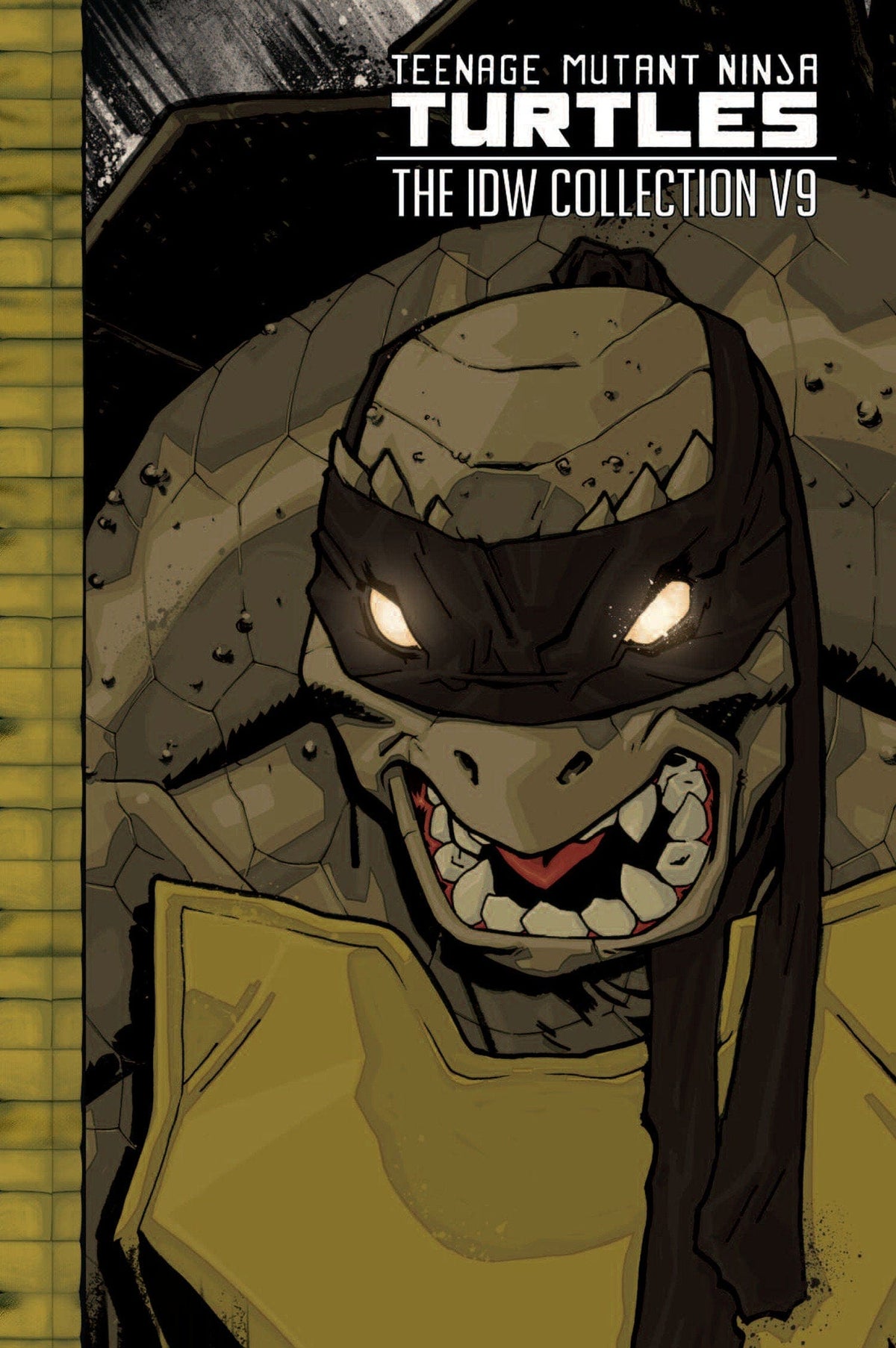 IDW Publishing Graphic Novel Teenage Mutant Ninja Turtles: The IDW Collection Volume 9 9798887243955 PRH-9798887243955