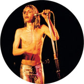 Iggy & The Stooges - More Power (Reissue)