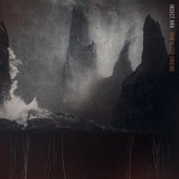 Insect Ark Music > Vinyl Records Insect Ark - Raw Blood Singing 652733522504 DBMP249.1