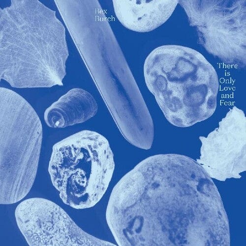 International Anthem Music > Vinyl Records Bex Burch - There is Only Love and Fear (Brother Sun Colored Vinyl) 789993993161 ILAM64.1