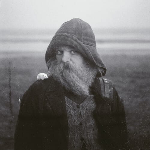 Isolation Network, INC. Music > Compact Discs Mary in the Junkyard - Role Model Hermit [Explicit Content] [CD] 823375032663 AMFQ176.2