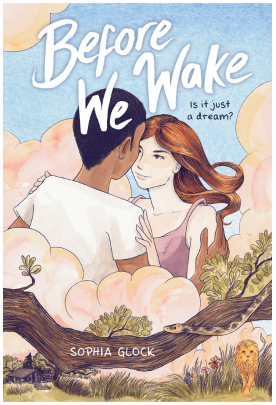 LITTLE BROWN INK Graphic Novel Before We Wake (a Graphic Novel) 9780316459037 ING-9780316459037