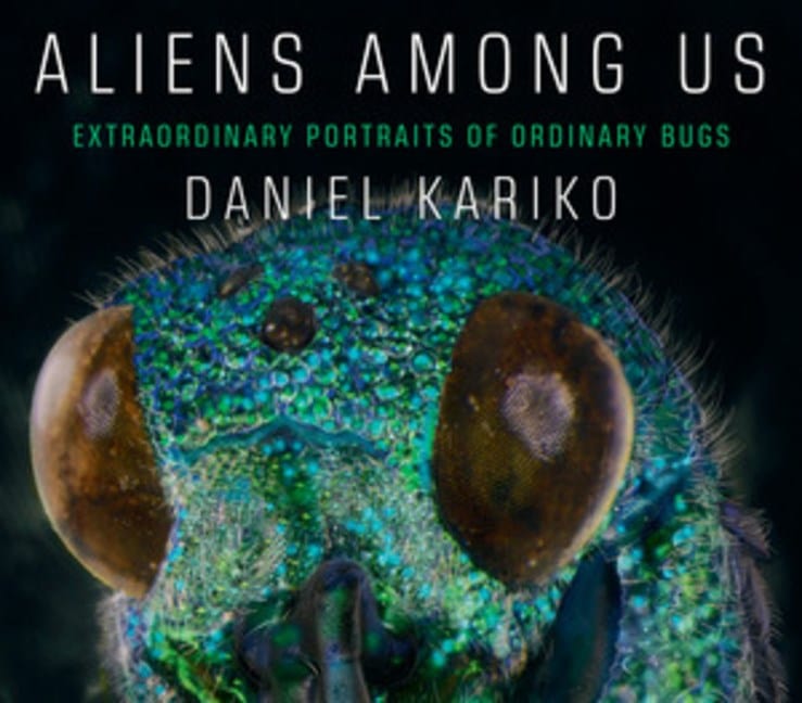 Aliens Among Us: Extraordinary Portraits of Ordinary Bugs (Hardcover)