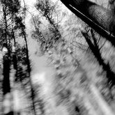 Loess Music > Vinyl Records Loess - Totems - Clear Vinyl 702224129917 NFMD299.1