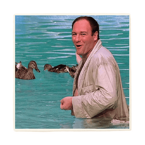 Lucky Mfg. Co. Home > Drinkware > Coasters Tony's Ducks - The Sopranos Coaster 42128892 42128892