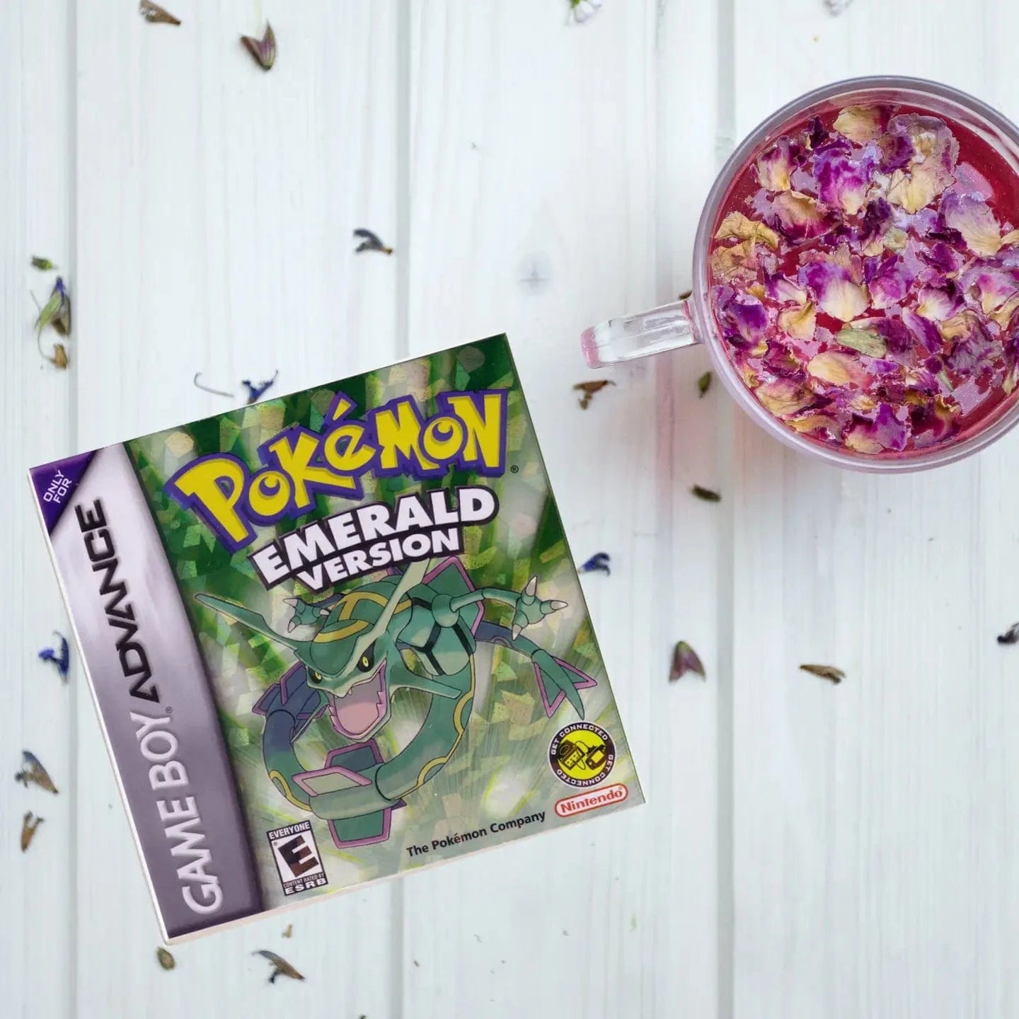 Lucky Mfg. Co. Home > Drinkware > Coasters Video Game Coaster: Pokemon - Emerald 65708284