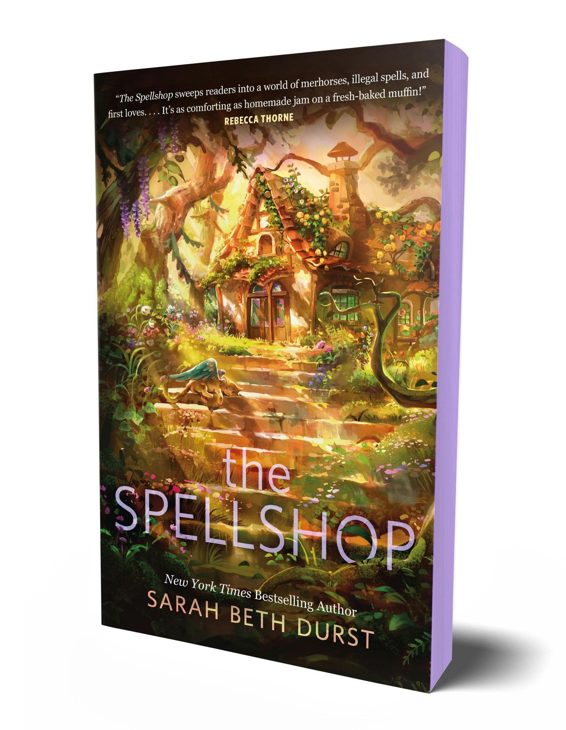 Macmillan Publishers Books > Fiction > Fantasy The Spellshop (Volume 1) by Sarah Beth Durst (Paperback) 9781250324603