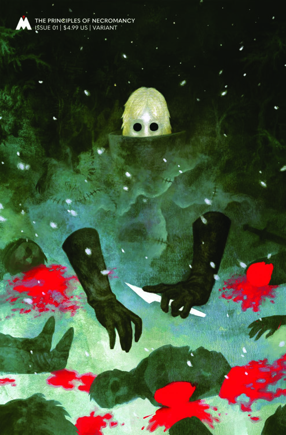 MAGMA COMIX Comic Books PRINCIPLES OF NECROMANCY #1 CVR B HEIDERSDORF 85005994901600121 FEB241556