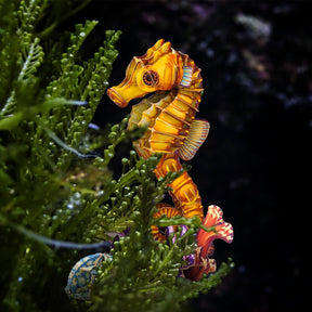 MAKEBUG Puzzles > 3D Puzzles Makebug - DIY Kraft Card Critters - Seahorse 3D Kraft Paper Puzzle MKBC0005