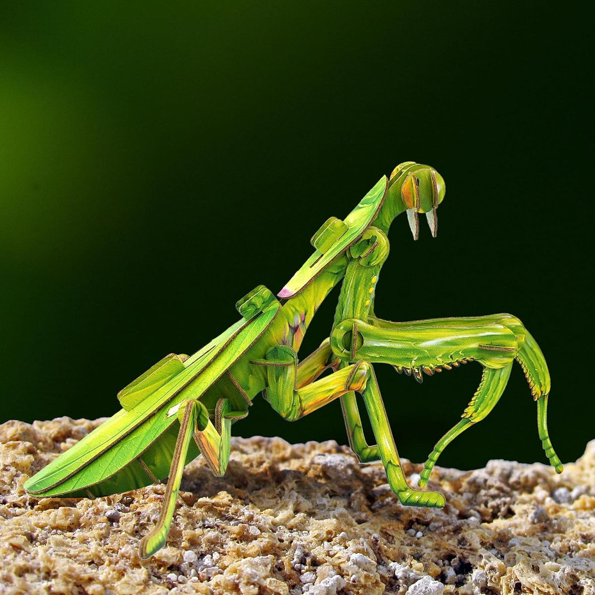 MAKEBUG Puzzles > 3D Puzzles Makebug - Kraft Paper Puzzle - Giant Praying Mantis 3D Kraft Paper Puzzle 6974201380329 MKBC0013