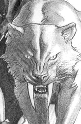 Marvel Comic Books > Incentives BLACK CAT #2 1:100 INCV ALEX ROSS TIMELESS VIRGIN SKETCH VARIANT 75960621252100216 PRH-75960621252100216