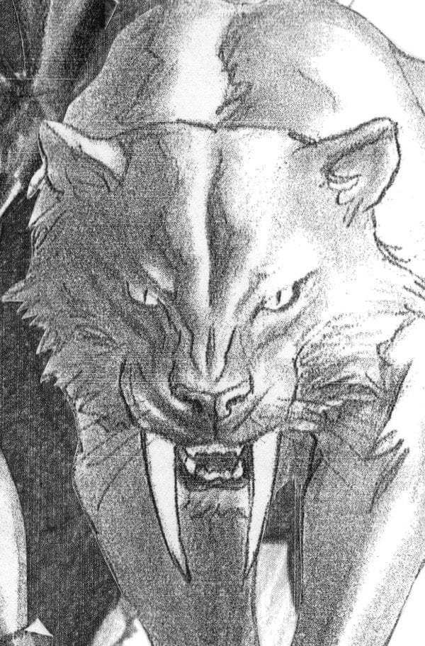 Marvel Comic Books > Incentives BLACK CAT #2 1:100 INCV ALEX ROSS TIMELESS VIRGIN SKETCH VARIANT 75960621252100216 PRH-75960621252100216