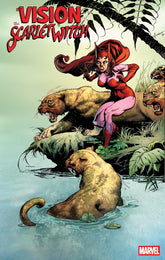 Marvel Comic Books > Incentives THE VISION & THE SCARLET WITCH #1 1:50 INCV SANDY PLUNKETT HIDDEN GEM VARIANT 75960621249100117 PRH-75960621249100117