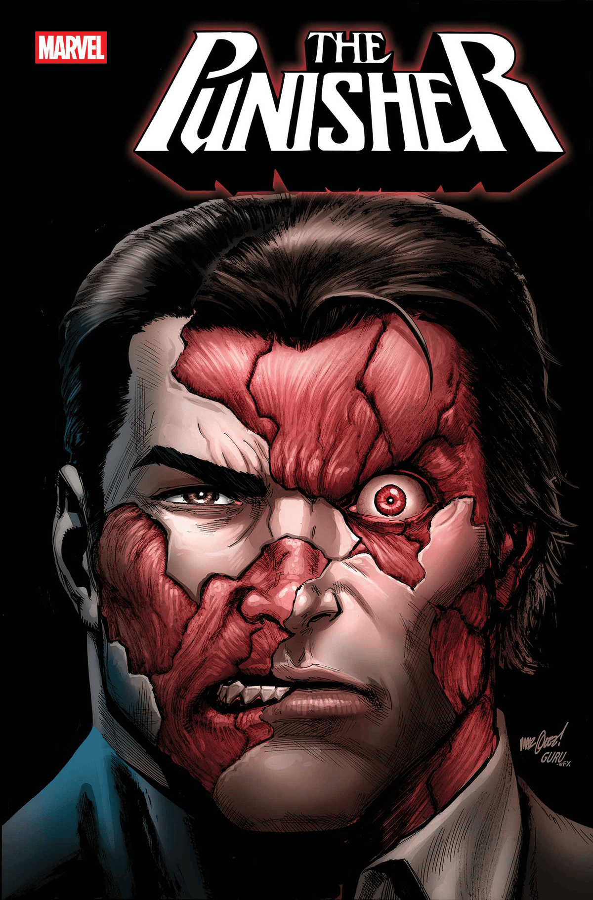 Marvel Comic Books PUNISHER #2 75960621516400211 PRH-75960621516400211