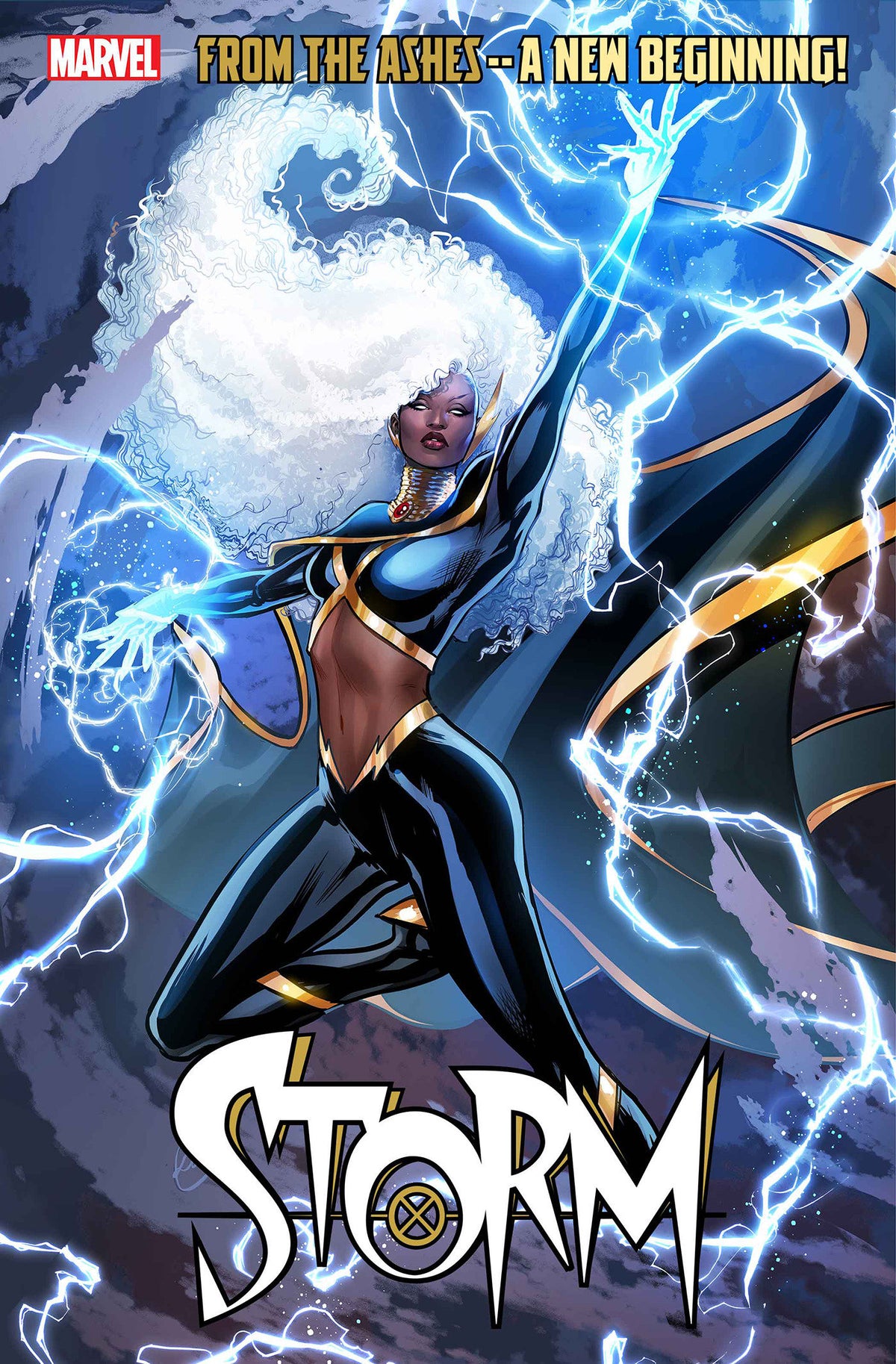 Marvel Comic Books STORM #1 LUCAS WERNECK VARIANT 75960621036700151 PRH-75960621036700151