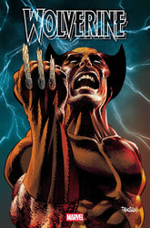 Marvel Comic Books WOLVERINE #22 75960620841802211 PRH-75960620841802211