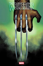 Marvel Comic Books WOLVERINE #22 MARTIN COCCOLO HIDDEN VARIANT 75960620841802261 PRH-75960620841802261