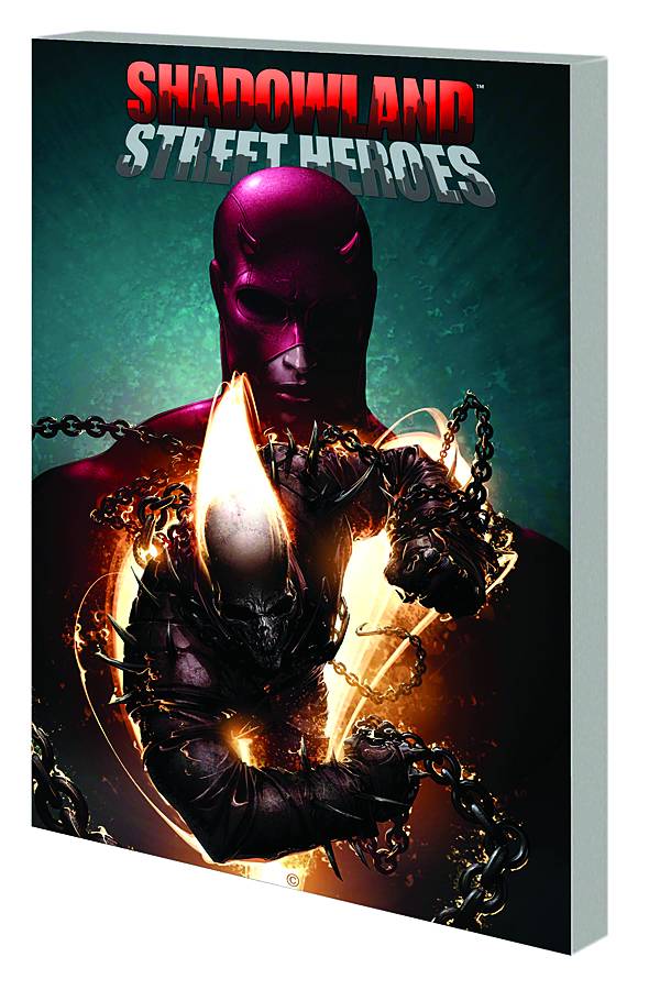 MARVEL COMICS Graphic Novel SHADOWLAND STREET HEROES TP 9780785148883 JUN110758