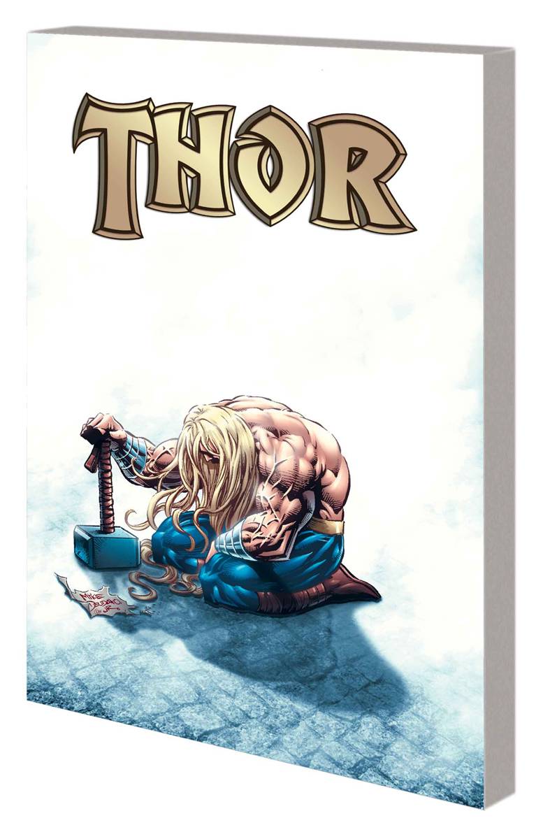 MARVEL COMICS Graphic Novel THOR SUNLIGHT AND SHADOWS TP 9780785162674 AUG130876