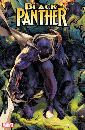Marvel PRH Comic Books > Incentives BLACK PANTHER #7 1:25 INCV ALEXANDER LOZANO VAR 75960620503500716 OCT230709