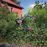 Master Peace Music > Vinyl Records Master Peace - How To Make A Master Peace - Yellow [Explicit Content] (Colored Vinyl, Clear Vinyl, Yellow) 617308063073 PMRQ220C1.1