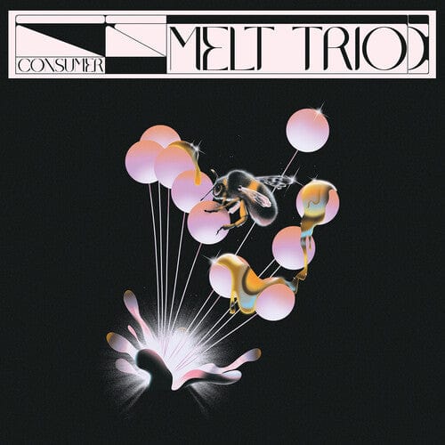 Melt Trio Music > Vinyl Records Melt Trio - Consumer 4260437157852 FNCU33.1