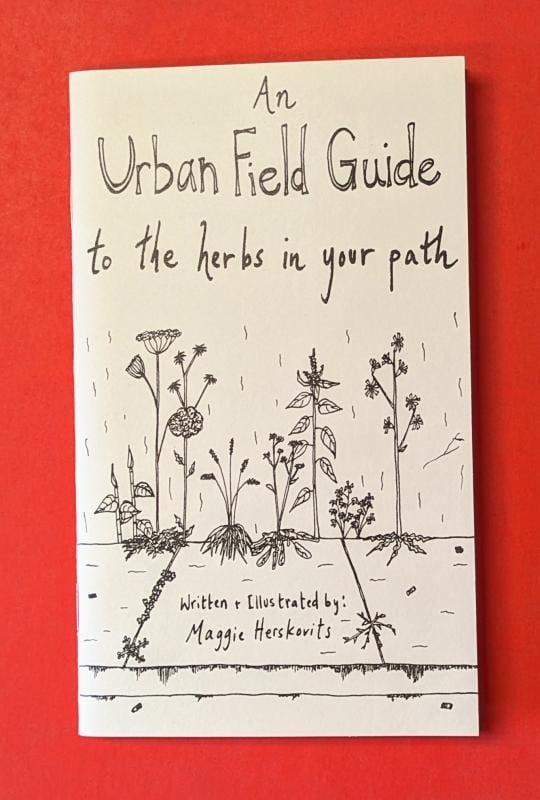 An Urban Field Guide to the Herbs in Your Path - Zine