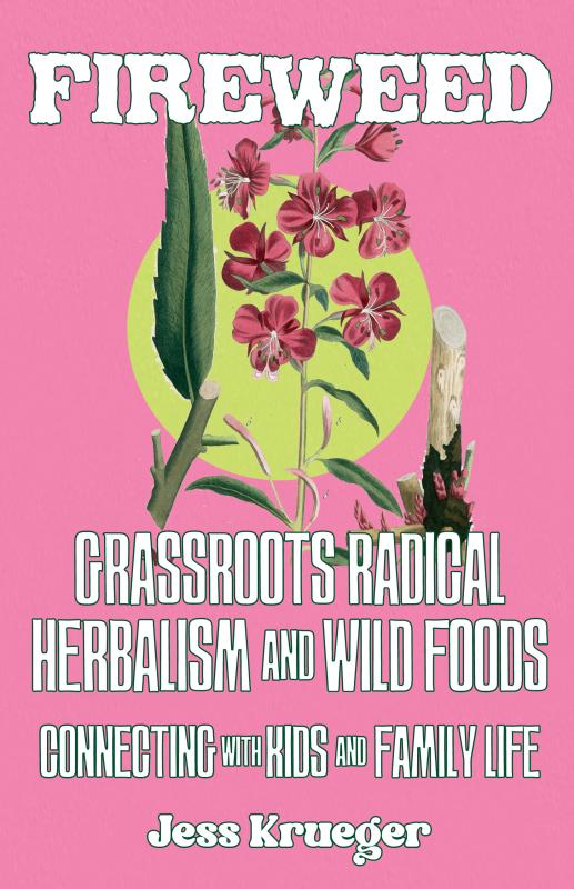 Fireweed #1: A Zine of Grassroots Radical Herbalism and Wild Foods Connecting With Kids and Family Life - Zine