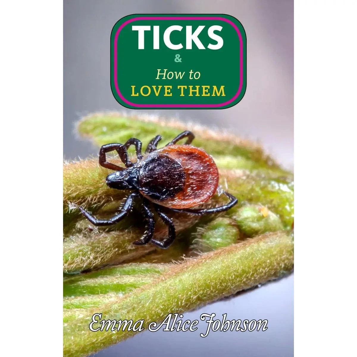 Microcosm Publishing Books > Zines Ticks & How To Love Them (Zine) 9781648415715 9781648415715