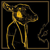 Mnrk Music Group LP Music > Compact Discs Shakey Graves - Roll The Bones X [Explicit Content] [CD] 803020216822 DUAT2168.2