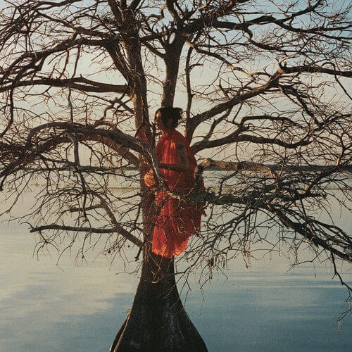 Mnrk Music Group LP Music > Vinyl Records Gatlin - The Eldest Daughter (Parental Advisory Explicit Lyrics, Gatefold LP Jacket) 803020292512 DUAT29251.1