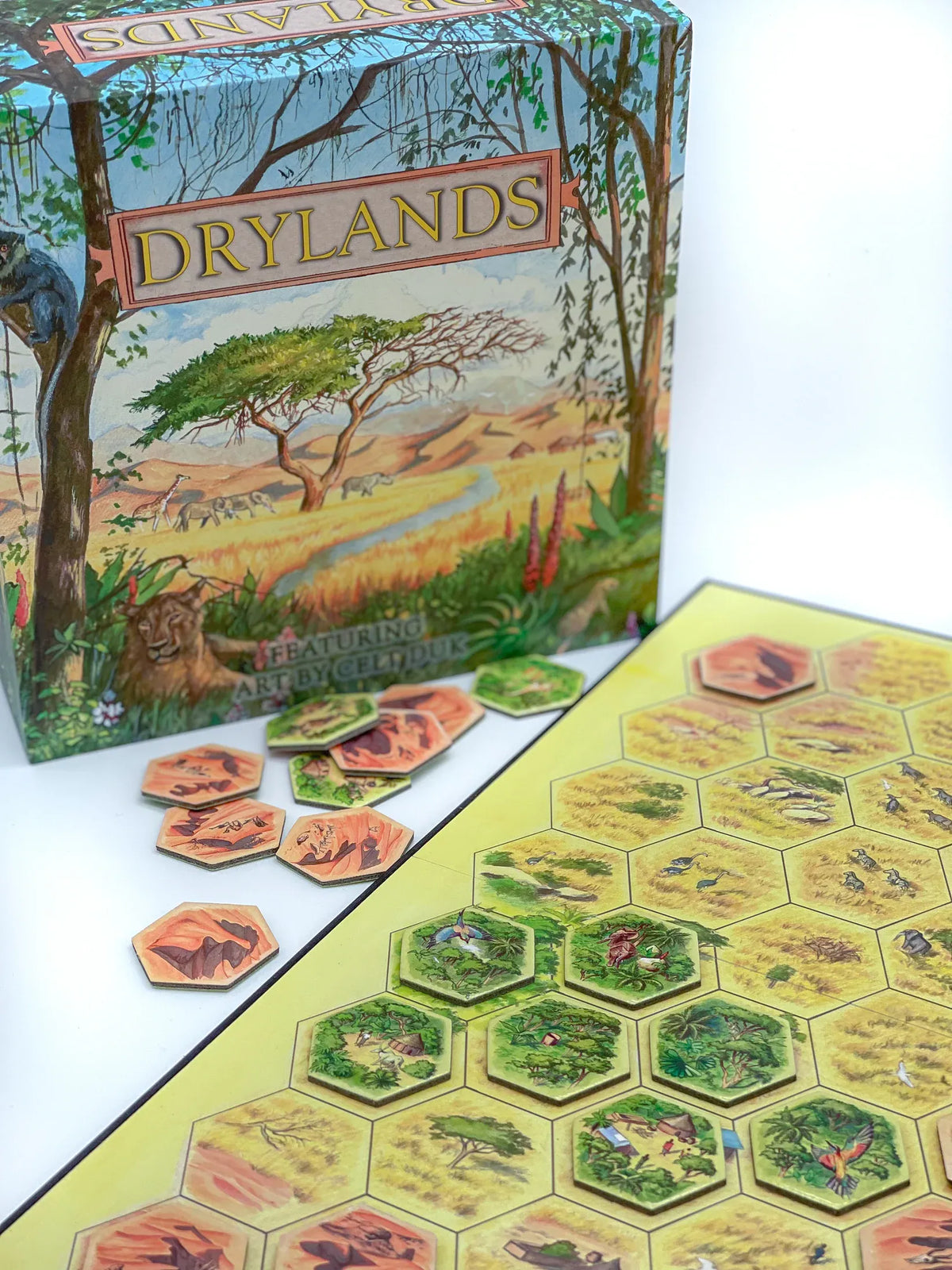 MONTROSE BIOLOGY Board Games Drylands Board Game 860003217757