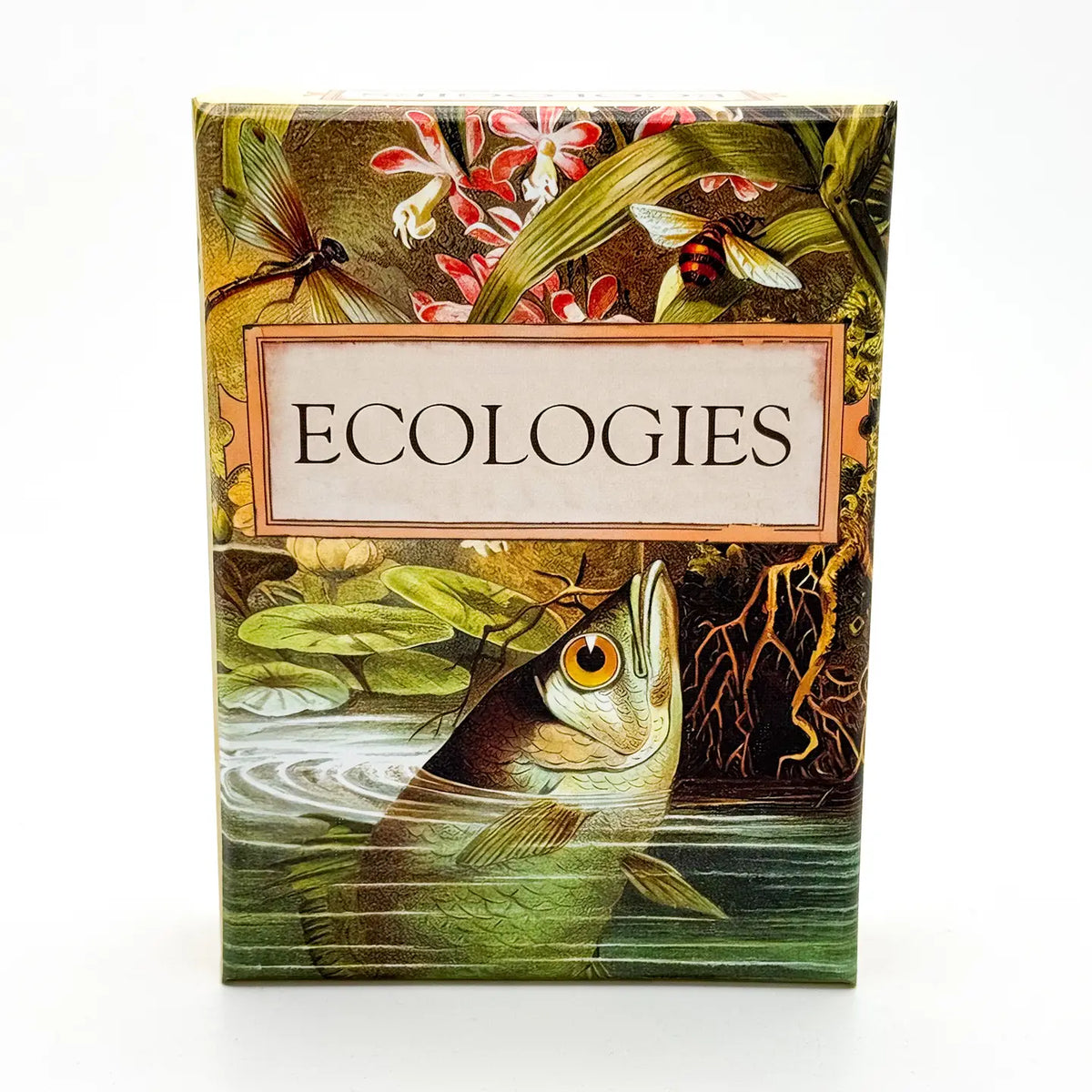 MONTROSE BIOLOGY Card Games Ecologies Card Game 860003217702 GTIN 860003217702