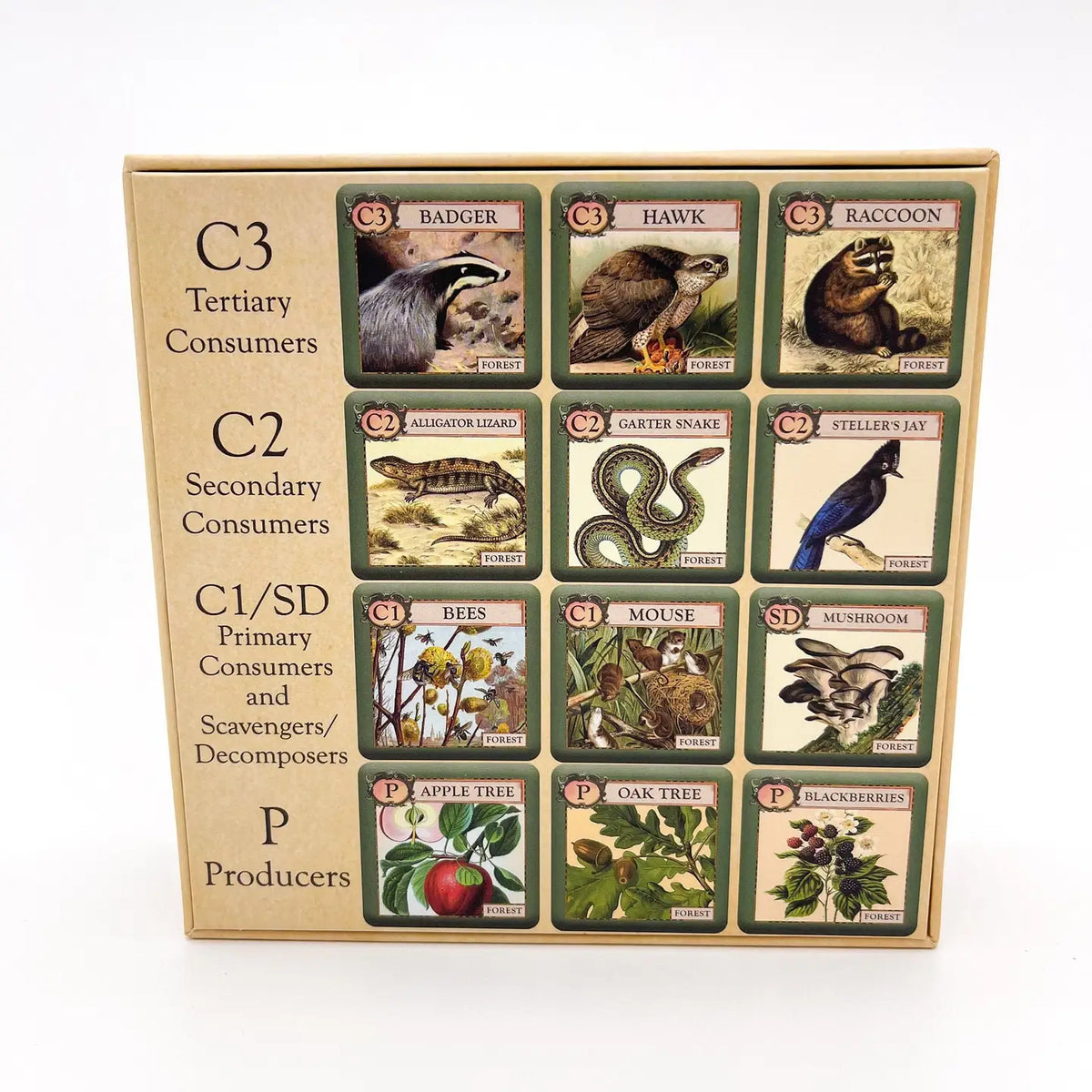 MONTROSE BIOLOGY Card Games Ecologies Junior: Forest MON7703