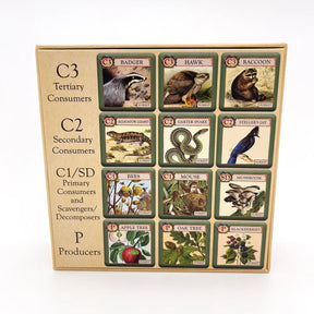 MONTROSE BIOLOGY Card Games Ecologies Junior: Forest MON7703