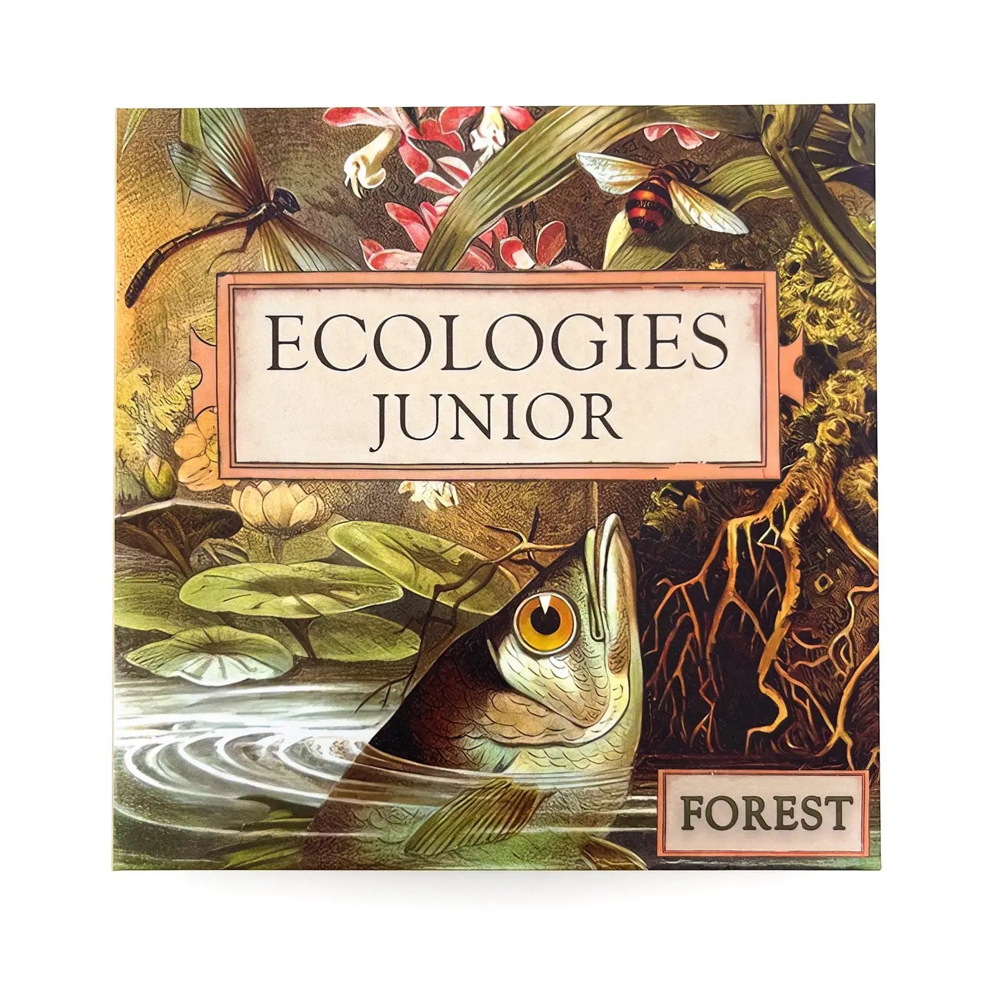 MONTROSE BIOLOGY Card Games Ecologies Junior: Forest MON7703