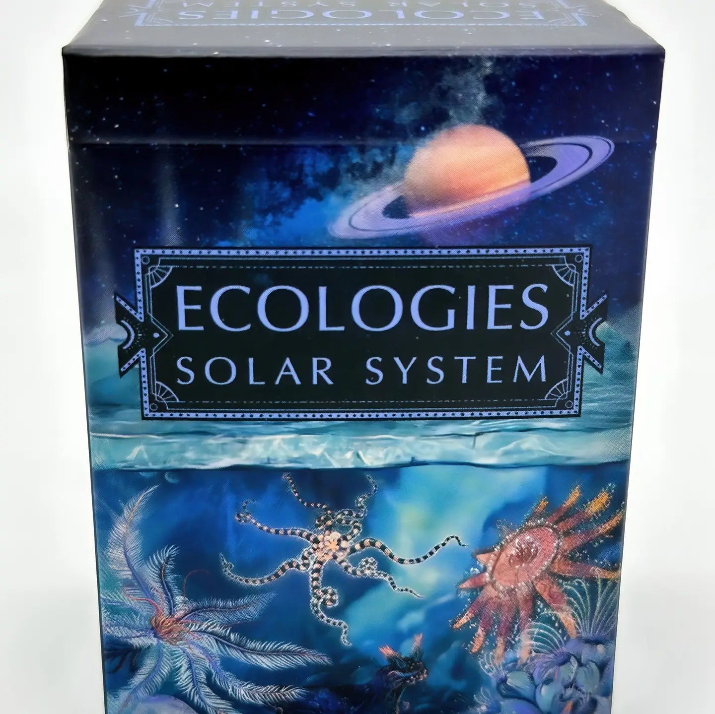 MONTROSE BIOLOGY Card Games Ecologies: Solar System