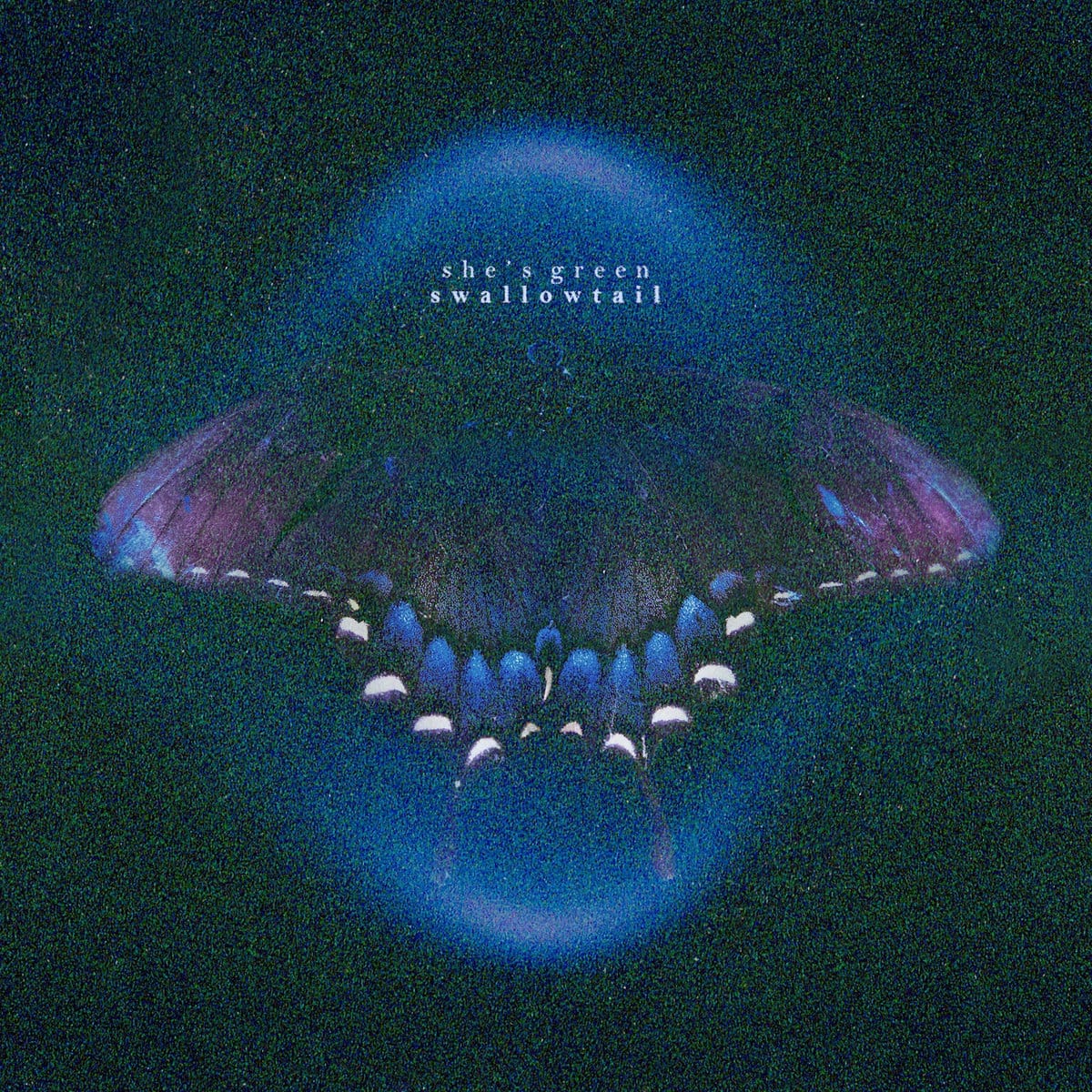 --- Music > Compact Discs Swallowtail - She's Green [CD] 605547839559