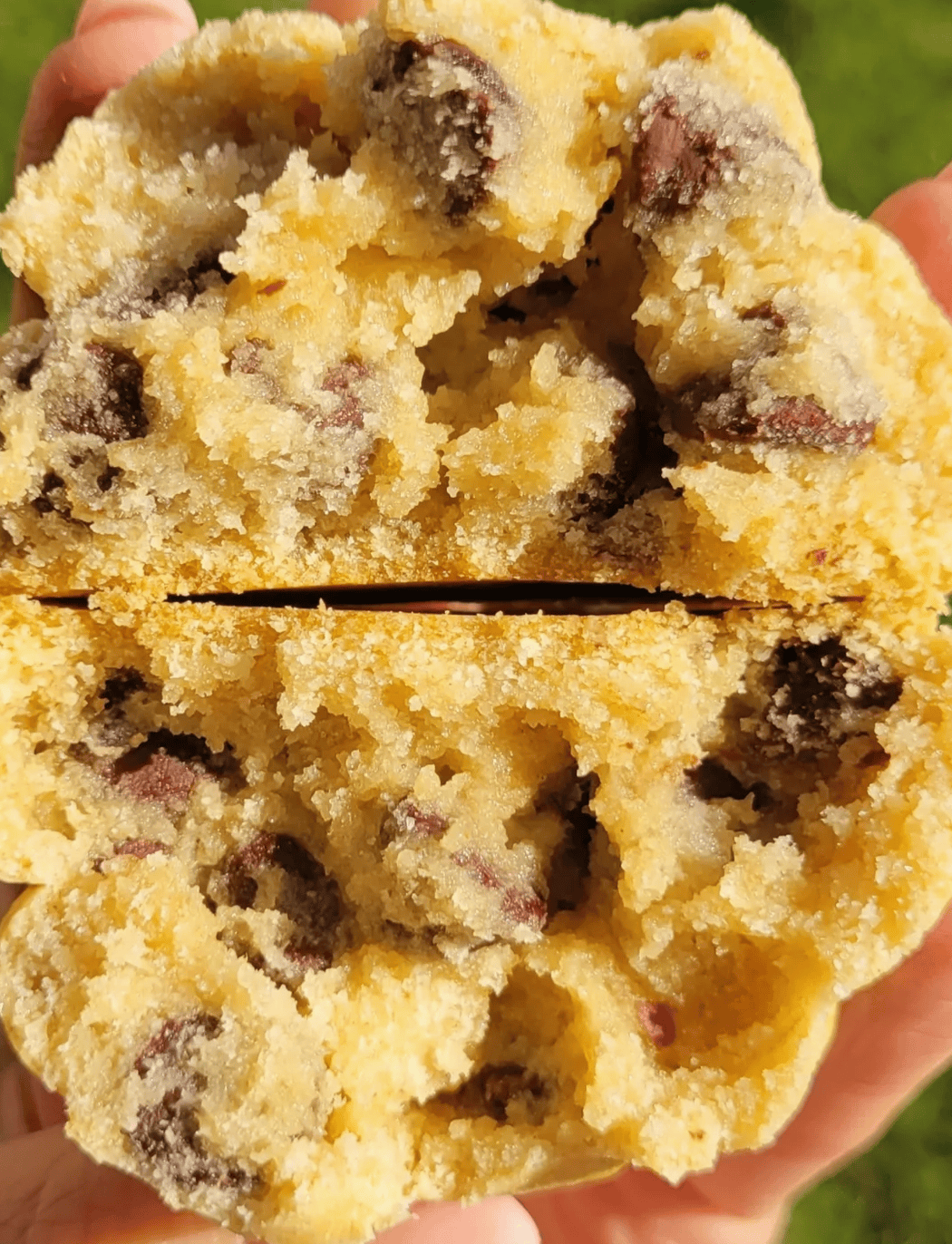 My Big Fat Cookie Little Fatties - Gluten "Friendly*" Chocolate Chip - 2 Pack 860009047341