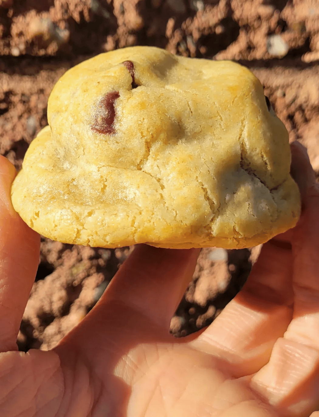 My Big Fat Cookie Little Fatties - Gluten "Friendly*" Chocolate Chip - 2 Pack 860009047341