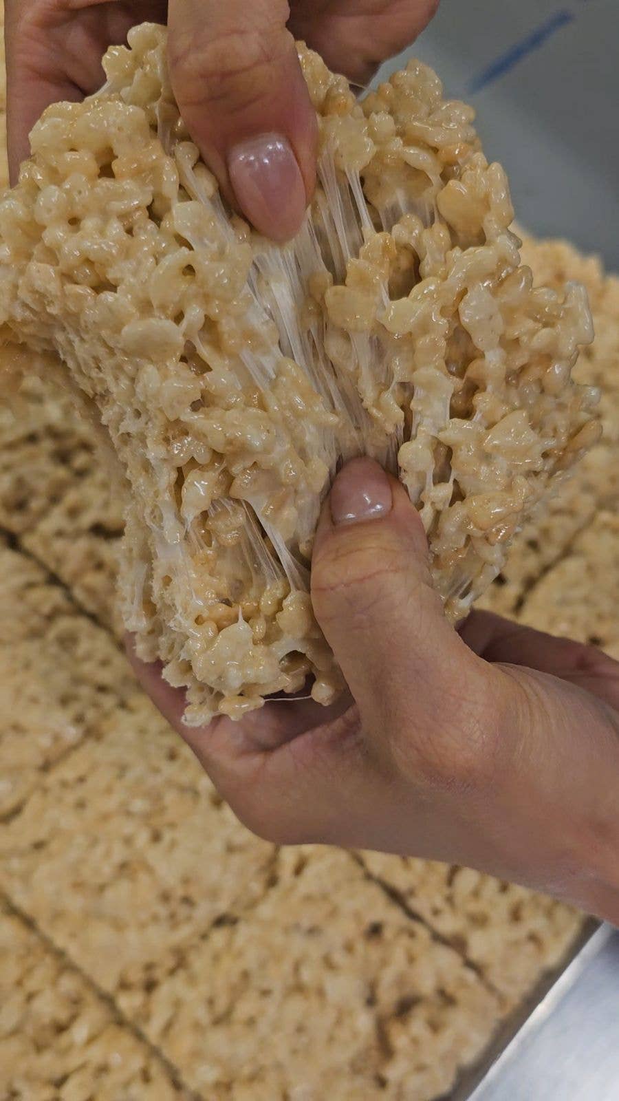 My Big Fat Cookie Snacks > Candy Marshmallowey Treat 00860011085393 BFC-860011085393