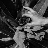 Nanook of the North Music > Vinyl Records Nanook Of The North - Heide 634457090811 DNOV359.1