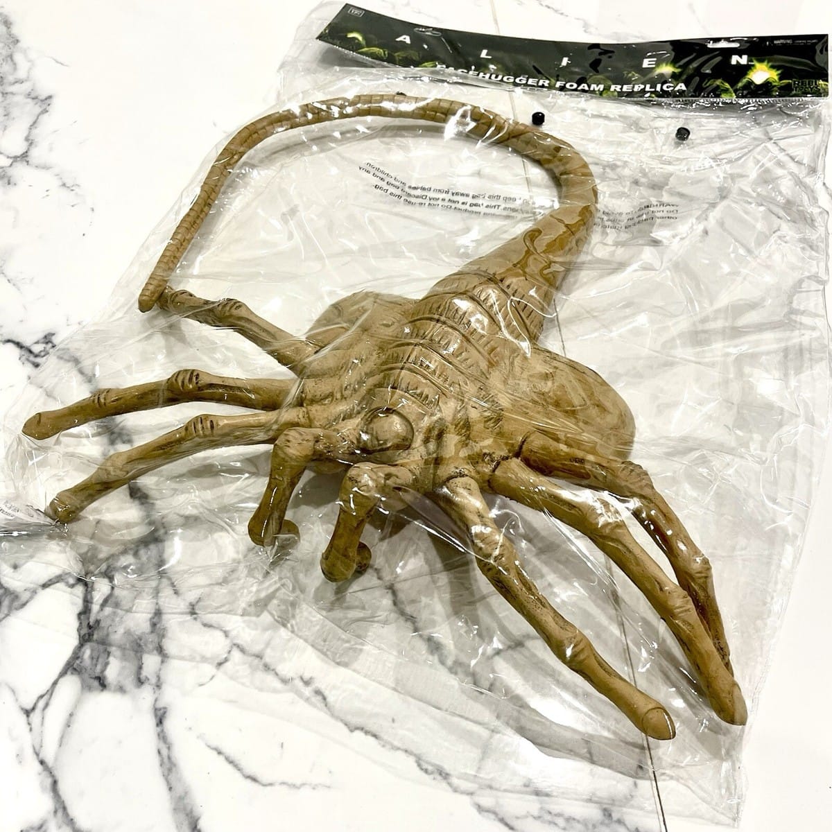 Neca Decor > Horror Decor Neca: Prop Replica - Alien Facehugger 634482513552 NE51355-01