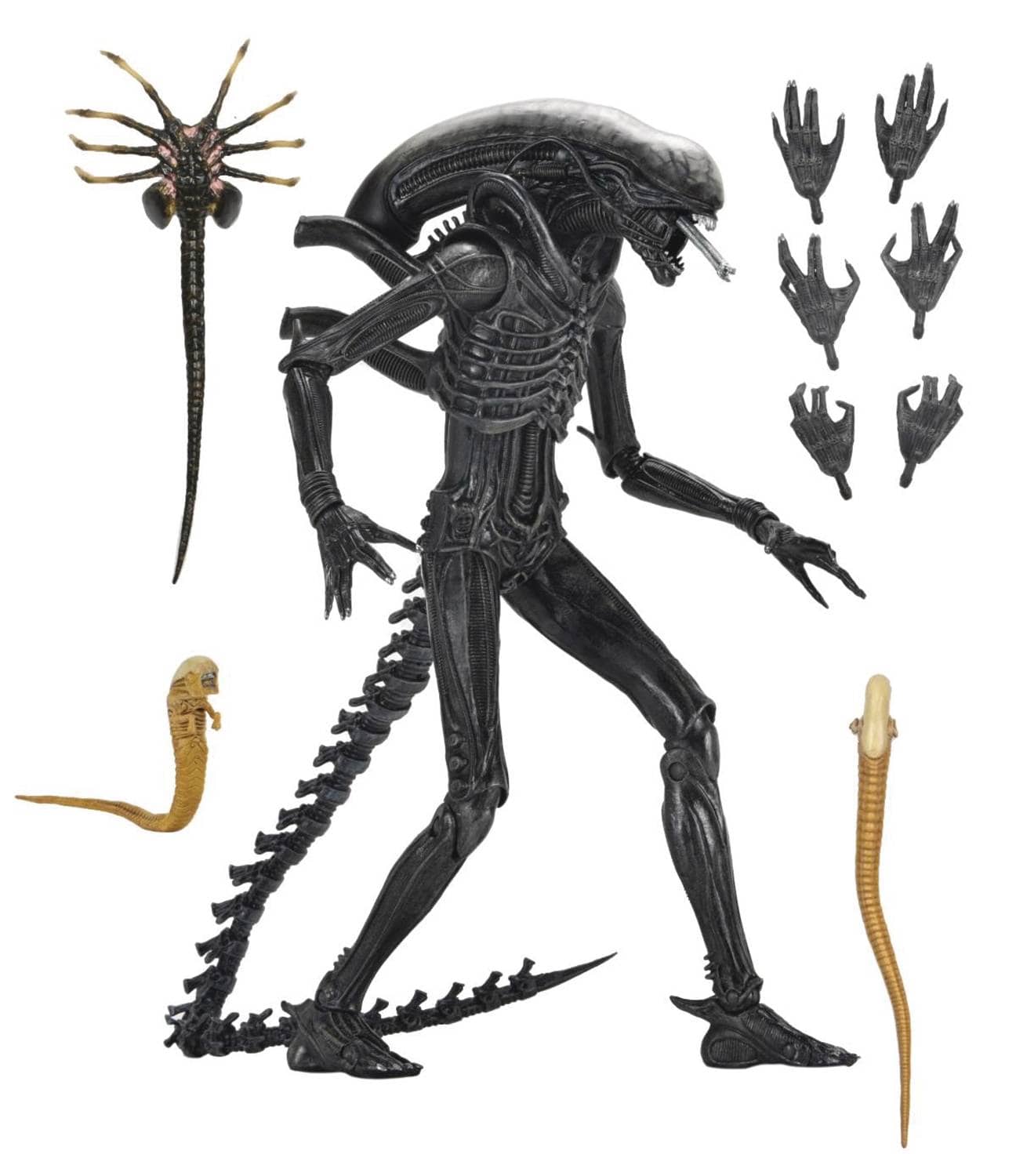 Neca Toys > Action Figures > Neca NECA: Alien Romulus - Ultimate Xenomorph XX121 634482517420 JAN257772
