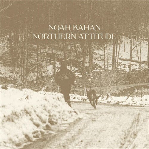 Noah Kahan Music > Vinyl Records Noah Kahan - Northern Attitude [Import] (Colored Vinyl, Black Ice, Poster) 602465964691 IMT6596469.7