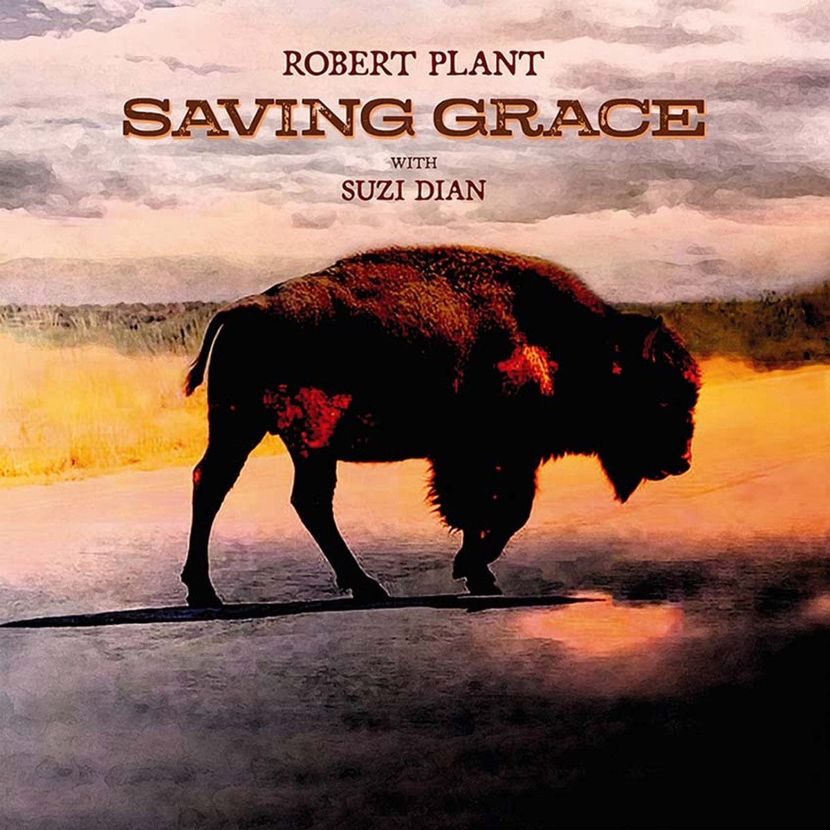 Nonesuch Music > Vinyl Records Robert Plant - Saving Grace (Indie Exclusive, Colored Vinyl, Pink, 140 Gram Vinyl) 075597895322 NNS895322.1