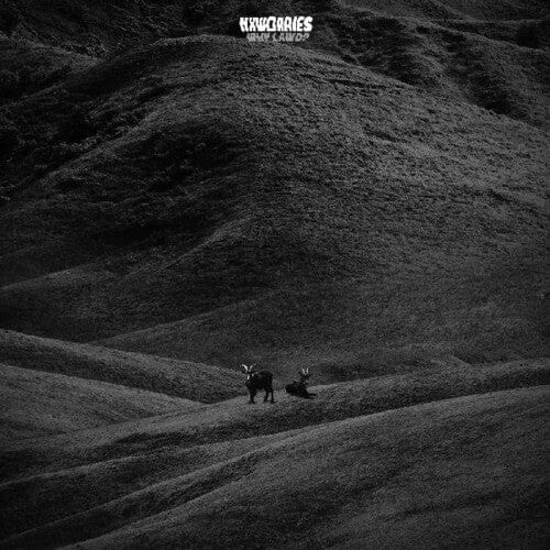 NxWorries Music > Vinyl Records NxWorries - Why Lawd? 659457250010 SNHO2500A.1