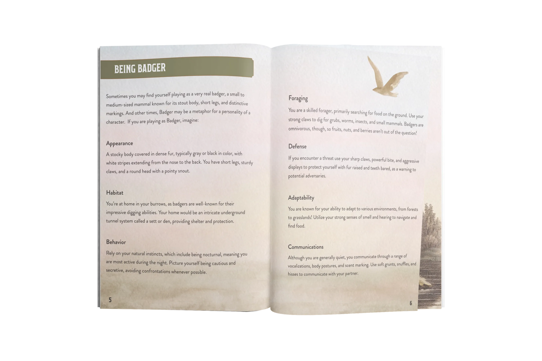 Pandion Games Tabletop Games > Role-Playing Games Badger + Coyote 9781963083002 PG-001
