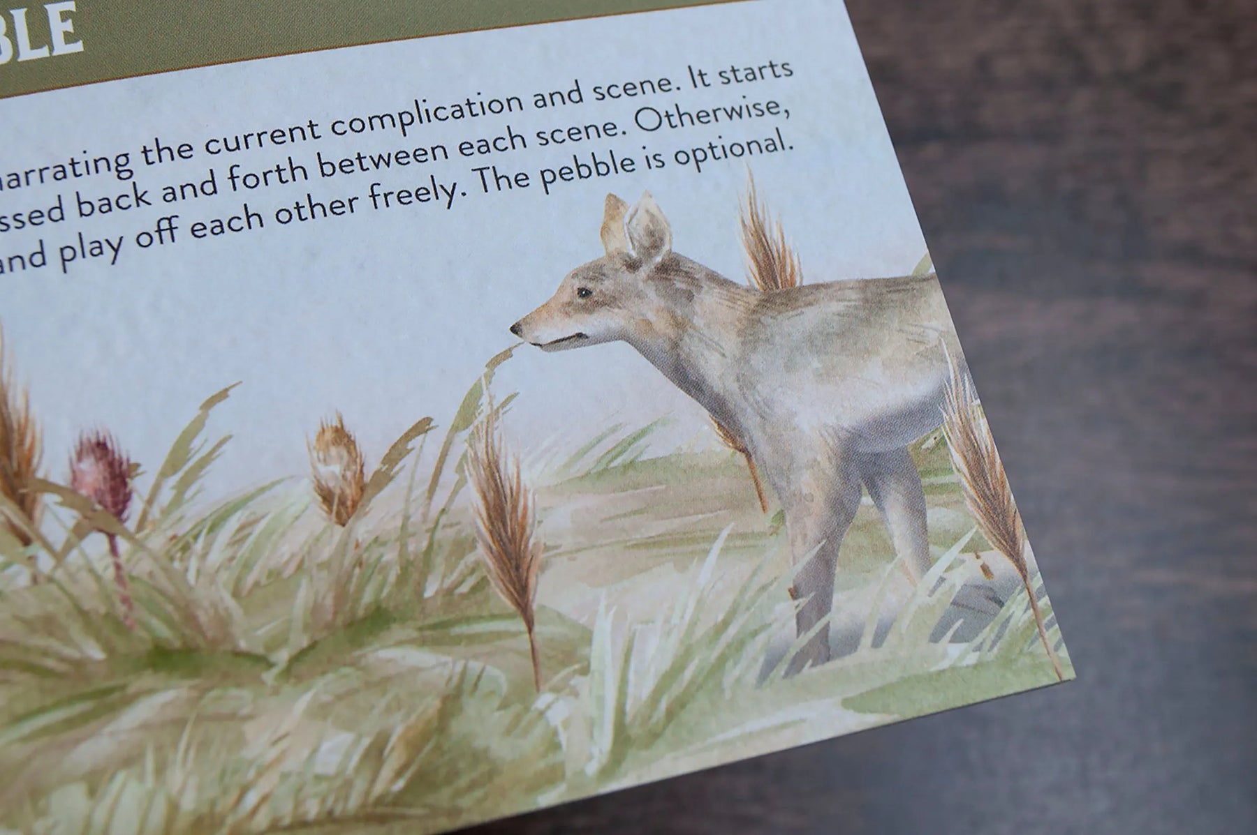 Pandion Games Tabletop Games > Role-Playing Games Badger + Coyote 9781963083002 PG-001